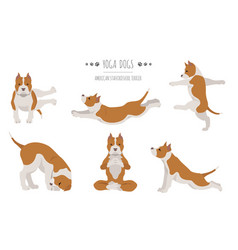 Yoga Dogs Poses And Exercises Poster Design Vector Image