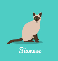 Siamese Vector Images (over 770)