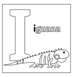 Iguana Royalty Free Vector Image - VectorStock