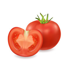 Tomatoes isolated realistic Royalty Free Vector Image