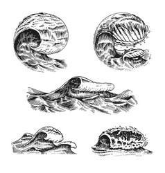 Vintage sea background Royalty Free Vector Image