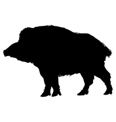 Wild boar Royalty Free Vector Image - VectorStock