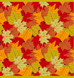 Leaf autumn seamless with flower pattern Vector Image