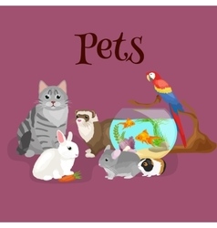 Home pets set cat dog parrot goldfish hamster Vector Image