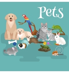 Home pets set cat dog parrot goldfish hamster Vector Image