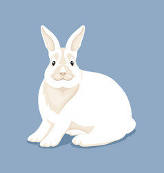 Cute rabit cartoon Royalty Free Vector Image - VectorStock