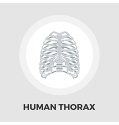 Spine Royalty Free Vector Image - VectorStock