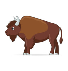 Standing Buffalo Vector Images Over 560
