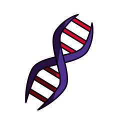 Dna human genetic Royalty Free Vector Image - VectorStock