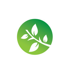 Circle green leaf logo Royalty Free Vector Image