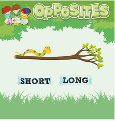 Opposite adjectives short and long Royalty Free Vector Image