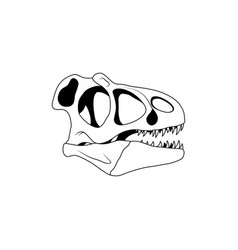 raptor dinosaur skull