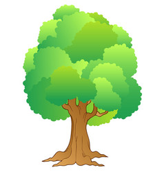 Cartoon tree character Royalty Free Vector Image