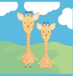 Family Of Three Giraffes Royalty Free Vector Image