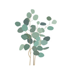 pic Seeded Eucalyptus Paint vectorstock