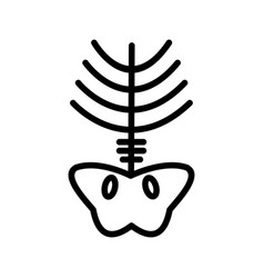 Xray & Outline Vector Images (over 170)
