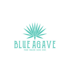 Agave Royalty Free Vector Image - VectorStock