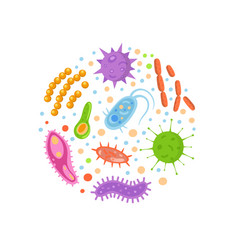 Bacteria and viruses in circle micro-organisms Vector Image