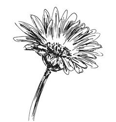 Hand sketch sunflower Royalty Free Vector Image