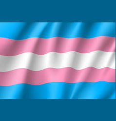 Transgender symbol movement lgbt flat icon Vector Image