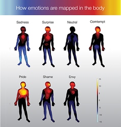 Medical description of the lymphatic system Vector Image