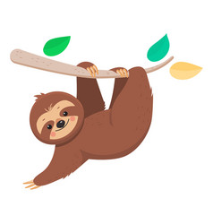 Joyful sloth hanging on a branch Royalty Free Vector Image