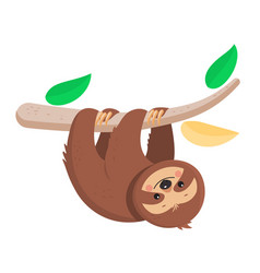 Joyful Cute Cartoon Sloth Hanging On A Branch Vector Image