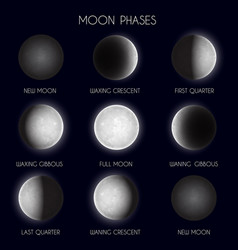 Day and night cycle diagram Royalty Free Vector Image