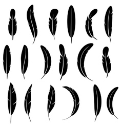 Feather & Silhouet...