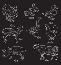 Meat symbols vintage cut scheme Royalty Free Vector Image