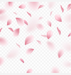 Cherry Blossom Transparent Vector Images Over 2 900