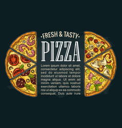 Horizontal poster slice pizza pepperoni hawaiian Vector Image