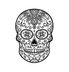 Sugar skull isolated on white background day of Vector Image