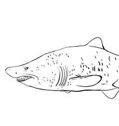 Shark Stencil Vector Images (over 110)