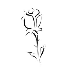 Outline Of Rose Tattoo : Rose Tattoo Black And White Outlines Small Rose Tattoo Trendy Tattoos White Rose Tattoos - Rose flower svg dxf png files for cricut or silhouette, rose tattoo outline design, cute floral clipart for vinyl decal, instant download.