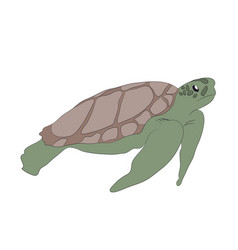 Turtle swim Royalty Free Vector Image - VectorStock