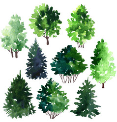 Set of trees drawing by watercolor vector