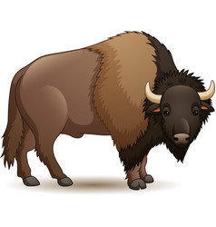 Cartoon cute yak isolated on white background Vector Image