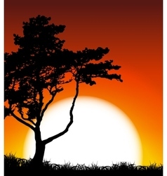 Silhouette of tree on sunset background Royalty Free Vector