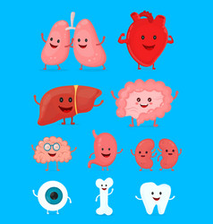 cute smiling happy human healthy strong organs set vector image