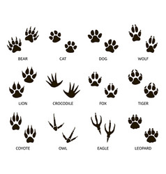 Paw Print Royalty Free Vector Image - Vectorstock