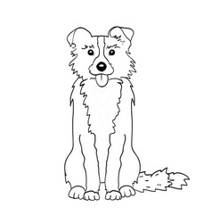 Border Collie Drawing Vector Images Over 210