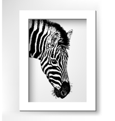 One continuous line drawing zebra head Royalty Free Vector