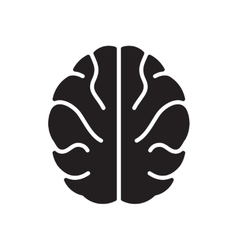 brain vector