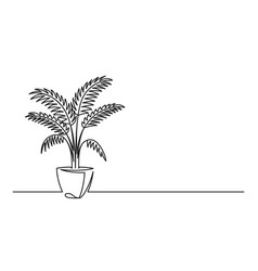 Isometric plant palm trees in a pot isolated on Vector Image