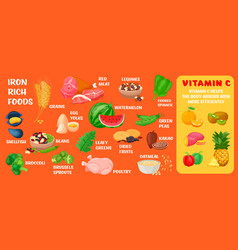 Vitamin C In Food Royalty Free Vector Image - Vectorstock