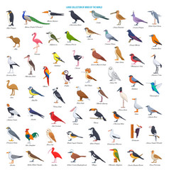 Birds Royalty Free Vector Image - VectorStock