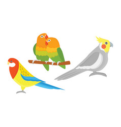 Parrot parrotry character and tropical bird Vector Image