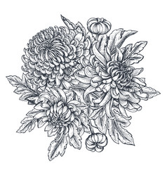 Bouquet With Hand Drawn Chrysanthemum Royalty Free Vector