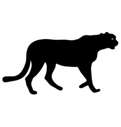 Jaguar Vector Images (over 2,700)